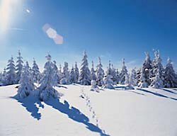 Winterurlaub am großen Arber im Bayerischen Wald